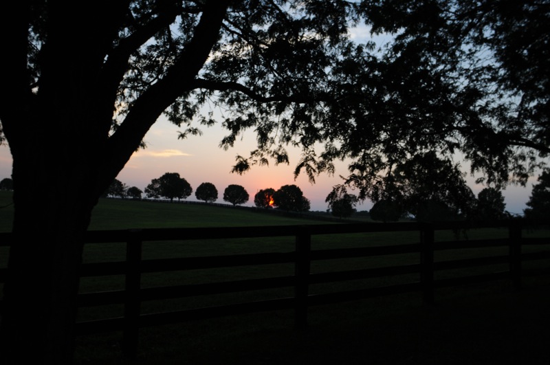 Sunsetovermarefield (1)